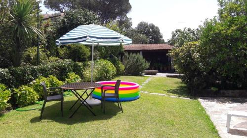 Фотография гостевого дома Quinta Drº Amarante