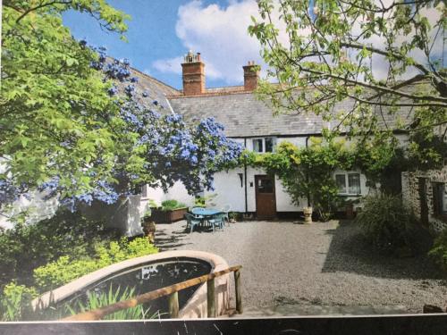 Фотография мини отеля Steps Farmhouse B&B