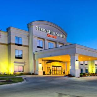 Фотографии гостиницы 
            SpringHill Suites by Marriott Ardmore