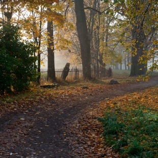 Фотография Нижний (Отдельный) парк