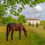 Фотография гостевого дома Domaine TerrOcéane