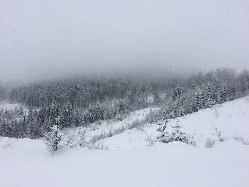 Фотографии гостиницы 
            Дом в Гашпара