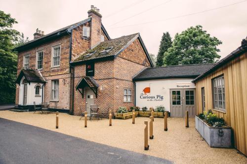 Фотография гостиницы The Curious Pig in the Parlour