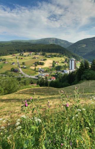 Фотография гостиницы Hotel Horizont