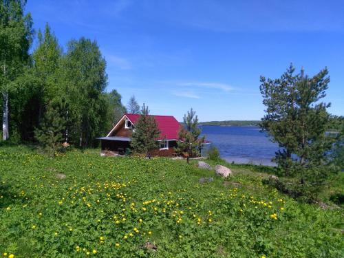 Фотография гостевого дома Котиранта