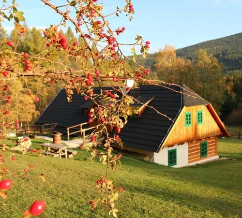 Фотографии гостевого дома 
            Chalupa na Šumavě