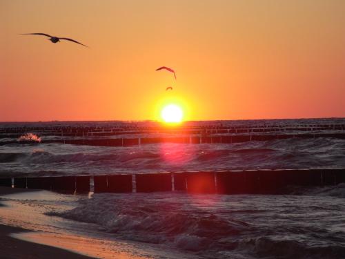 Фотография гостевого дома Küstenhaus Koserow