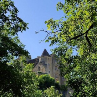 Фотография гостевого дома Petite maison en pierre au coeur du Périgord noir proche de Sarlat et Rocamadour