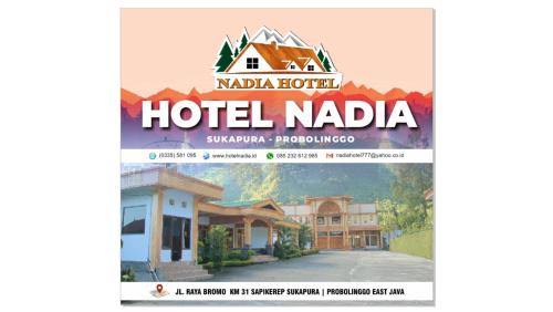 Фотографии гостиницы 
            Hotel Nadia Bromo