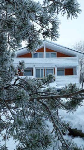 Фотография гостевого дома Kodikorva