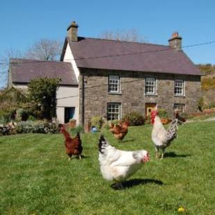 Фотографии базы отдыха 
            Nantgwynfaen Organic Farm Wales