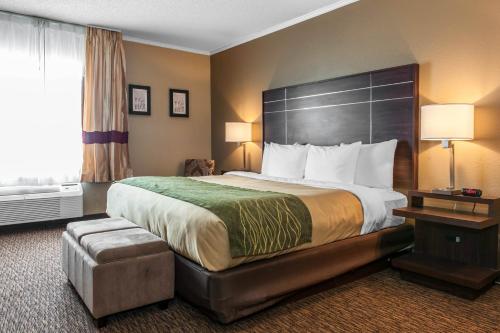 Фотография гостиницы Comfort Inn near I-69 and Washington Center Road