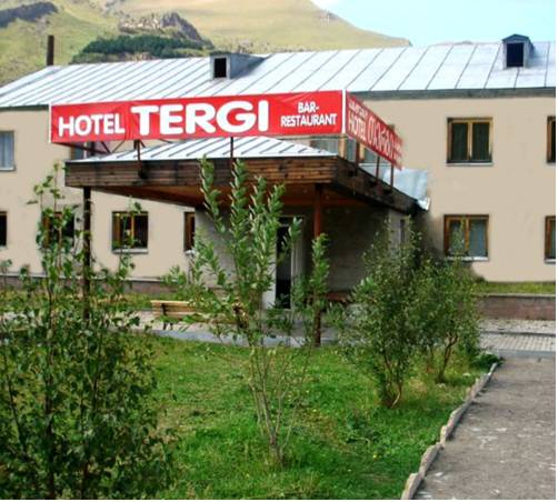 Фотографии гостиницы 
            Tergi Hotel