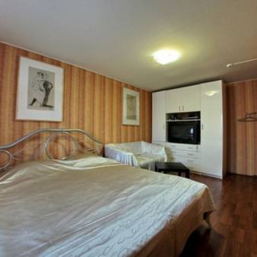 Фотографии гостиницы
Парголовский