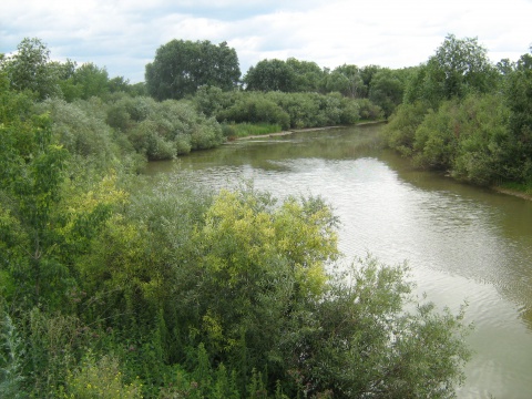 Алтайский край село романовское